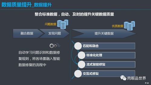 構建高效數據治理體系 從戰略到實踐的全面解決方案